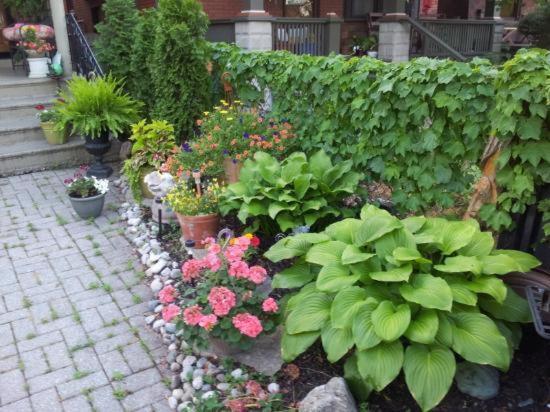 A Hidden Gem Bed And Breakfast Виндзор Экстерьер фото